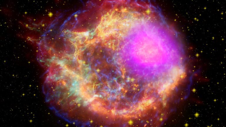 What Happens in a Supernova?